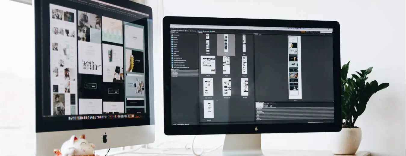 Designing & Branding